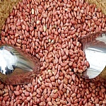 بادام زميني  استانه 500 گ