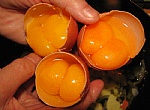 تخم مرغ دو زرده