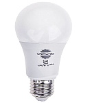 لامپ ال اي دي 9 وات پارس