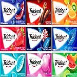 ادامس تيري دنت